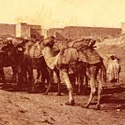 im Riad Jenaï