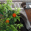 im Riad Jenaï