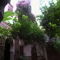 image patio riad jenaï