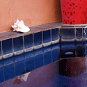 im Riad Jenaï
